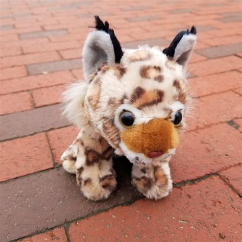 stuffed bobcat for sale